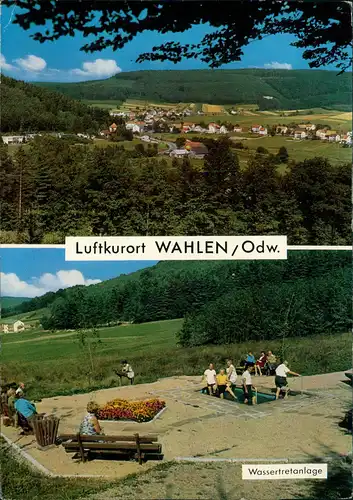 Wahlen (Odenwald)-Grasellenbach Panorama und Wassertretanlage 1970