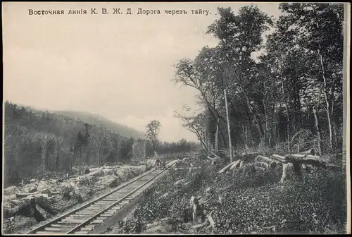 .Russland Rußland Россия Östliche Linie Eisenbahn durch Taiga 1905