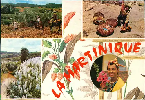 Martinique Ansichten mit Bauern, Einheimischen, Native Scenes 1985