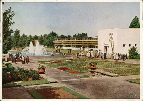 Ansichtskarte Essen (Ruhr) Grugapark Pflanzenschauhaus und Aquarium 1955