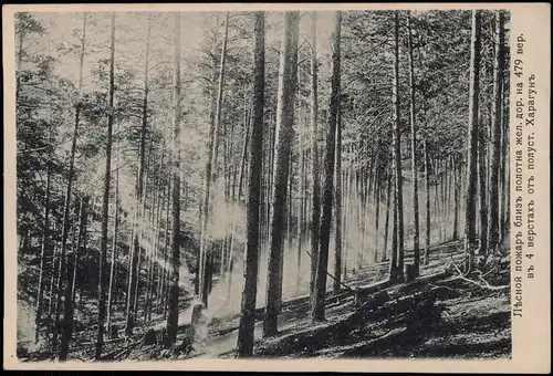 Kharagun Burjatien Харагунъ Бурятия Rußland Россия Waldbrand 1905