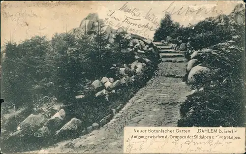 Ansichtskarte Dahlem-Berlin Neuer Botanischer Garten, Aufgang 1905