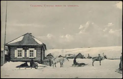 Tunguz Sachalin Тунгузы Сахалин Stadt, Rentiere im Winter 1905