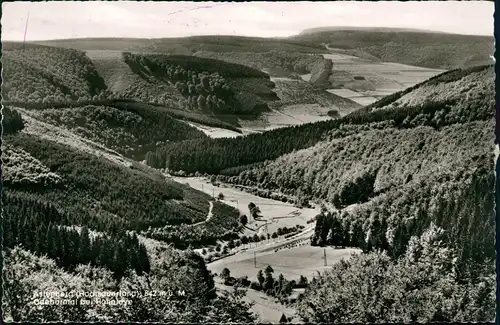 Astenberg Umlandansicht Odeborntal bei Hoheleye Hochsauerland 1960