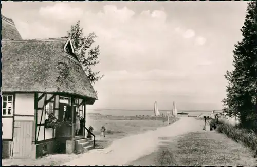 Ansichtskarte Hüde Partie Am Dümmersee 1955
