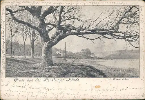 Flensburg Gruss von der Flensburger Föhrde Partie bei Bad Wassersleben 1902