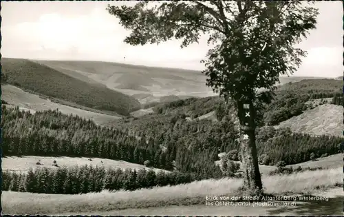 Altastenberg-Winterberg Straße Altastenberg Ohlenbachtal (Hochsauerland) 1964