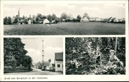 Burgstall Obb. Ortsansichten des Ortes in der Holledau (Mehrbild-AK) 1950