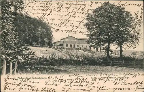 Ansichtskarte Scharbeutz Cafe und Milchwirtschaft Waldburg 1906