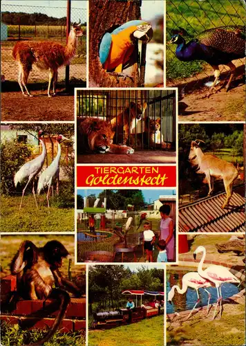 Goldenstedt (Kr. Vechta) TIERGARTEN GOLDENSTEDT Inh. H.Wollering 1980