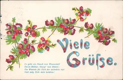 Ansichtskarte  Viele Grüße - Künstlerkarte - Blumen 1914