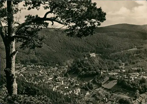 Ansichtskarte Schwarzburg Trippsteinblick 1959