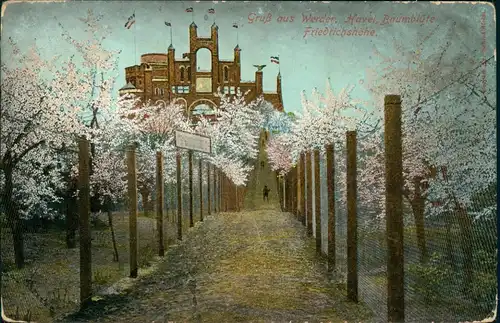 Ansichtskarte Werder (Havel) Havel, Baumblüte Friedrichshöhe 1907