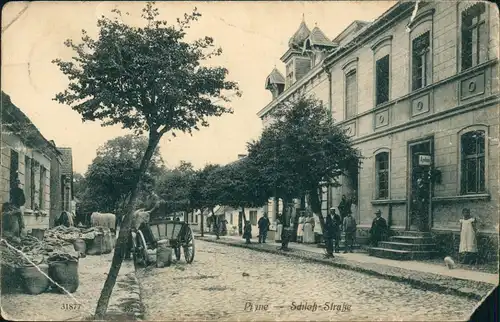 Pinne b. Samter Pniewy Pr. Posen Schloß Straße - Geschäfte 1910