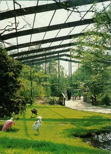 Ansichtskarte Walsrode Vogelpark Walsrode Freiflughalle 1980