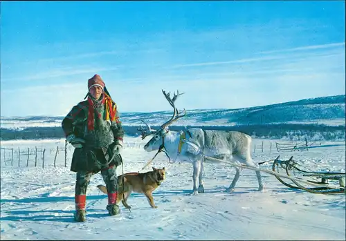 Norwegen Norge Norway Lapp with his reindeer; Lappe mit Rentier-Schlitten 1980