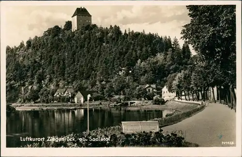 Ansichtskarte Ziegenrück/Saale Stadtteilansicht, Saale Partie 1951
