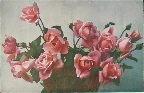 Ansichtskarte  Künstlerkarte rosa Rosen 1912