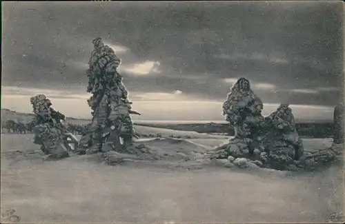 Ansichtskarte .Sachsen Erzgebirgischer Winterzauber 1920     Bahnpoststempel