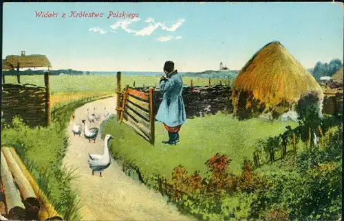 Postcard Polen Polska Widoki z Królestwa Polskiego 1910