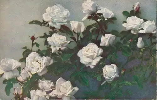 Ansichtskarte  Künstlerkarte weiße Rosen - Naturfarben 1912