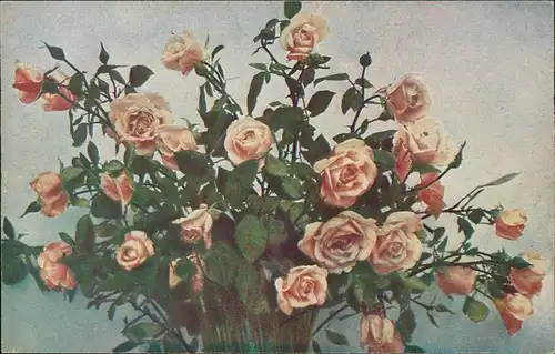 Ansichtskarte  Künstlerkarte Rosenstock - Naturfarben 1912