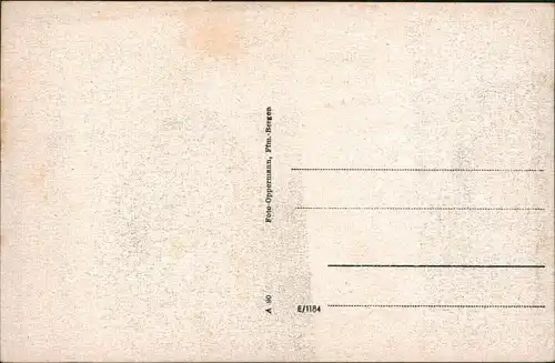 Ansichtskarte Bergen-Enkheim-Frankfurt am Main Panorama-Ansicht 1930