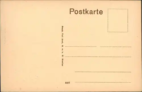 Ansichtskarte Burgstädt Panorama-Ansicht Gesamtansicht 1910