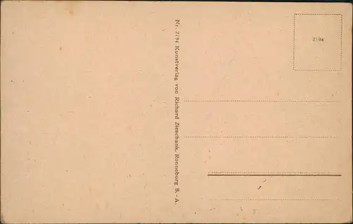 Ansichtskarte Ronneburg (Thüringen) Schützenhaus und Orts-Panorama 1920