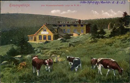 Postcard Harrachsdorf Harrachov Wosseckerbaude im Riesengebirge 1910