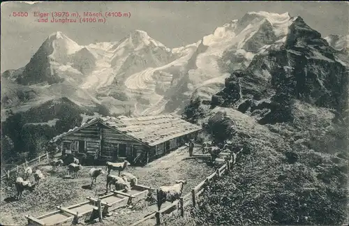 Lauterbrunnen 5450 Eiger (3975 m), Mönch (4105 m) und Jungfrau (4166 m) 1920