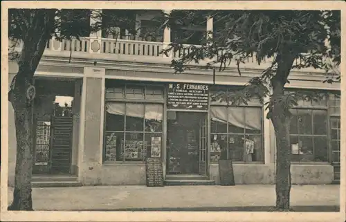Daressalam Acacia Avenue Photogeschäft Tansania Deutsch Ostafrika 1922