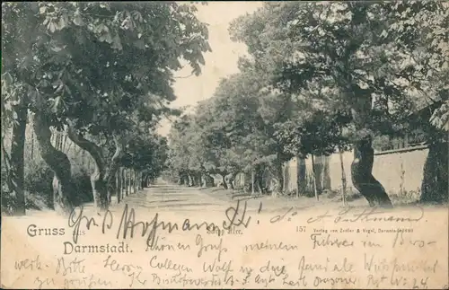 Ansichtskarte Darmstadt Schepp-Allee 1899