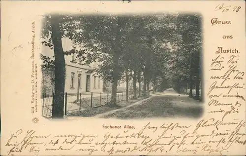 Ansichtskarte Aurich-Leer Ostfriesland Eschener Allee 1898  gel Bahnpoststempel