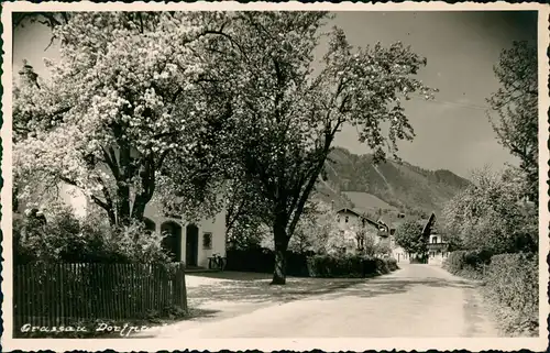 Ansichtskarte Grassau Dorfstraße, Baumblüte - Fotokarte 1930