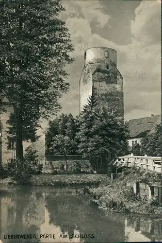 Ansichtskarte Bad Liebenwerda Schloss, Holzbrücke - Lubwartturm 1913