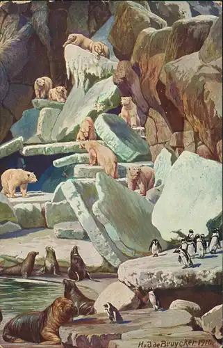 Stellingen-Hamburg Walrosse, Seelöwen, Eisbären Hagenbeck Tierpark 1910