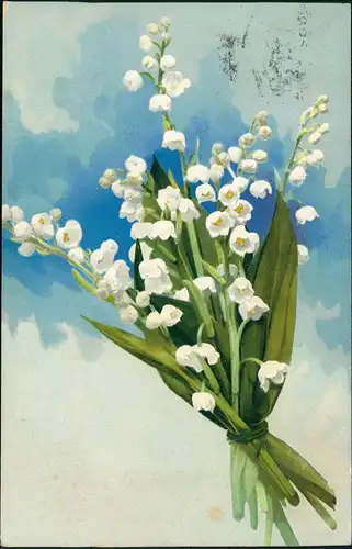 Ansichtskarte  Botanik :: Blumen Märzenbecher Photochromie 1913