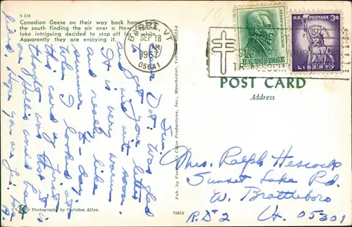 Postcard Kanada (allgemein) Canadian Geese New England 1967