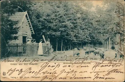 Ansichtskarte Göhrde Jagdrevier Göhrde Jäger und Frauen 1903