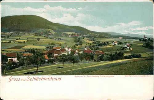 Ansichtskarte Schlächtenhaus-Steinen (Baden) Stadtpartie 1907