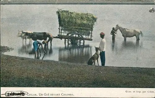 Postcard Colombo UN Gué devant Colombo. Ceylon Sri Lanka 1913