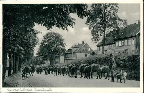 Ansichtskarte Clausthal-Zellerfeld Damenkapelle - Viehabtrieb 1961