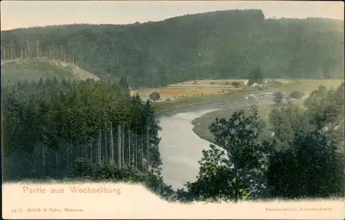 Ansichtskarte Wechselburg Umlandpartie - Handcolorierte AK 1900