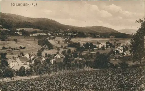 Ansichtskarte Schlächtenhaus-Steinen (Baden) Blick auf die Stadt 1913