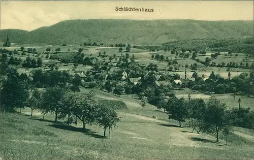 Ansichtskarte Schlächtenhaus-Steinen (Baden) Blick auf die Stadt 1917