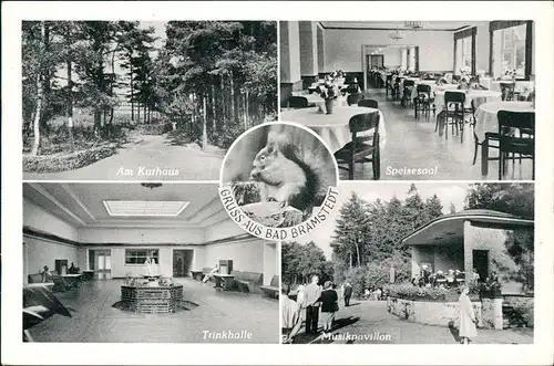Bad Bramstedt Speisesaal Am Kurhaus Musikpavillon Trinkhalle 1959