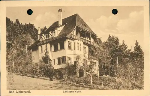 Ansichtskarte Bad Liebenzell Landhaus Koch. 1912