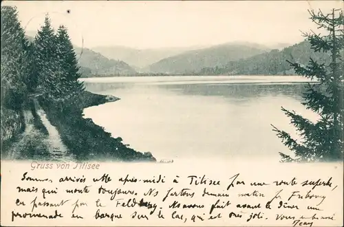 Ansichtskarte Titisee Blick über den Titisee 1901