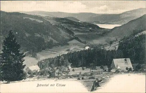 Ansichtskarte Titisee Bärental 1905